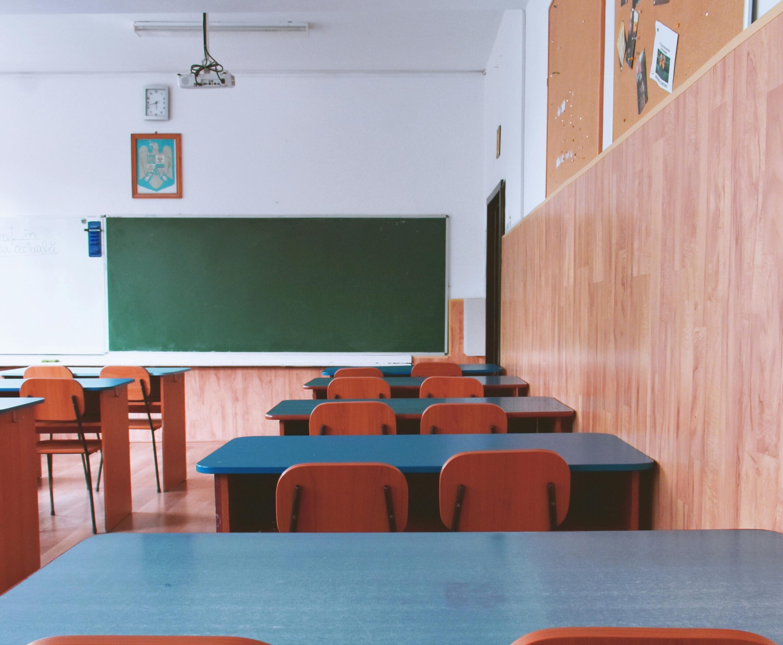 pexels-didsss-2675061